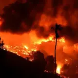 В окрузі Лос-Анджелес станом на 11 січня вирують шість лісових пожеж