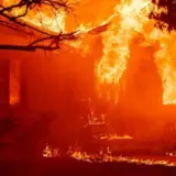 Число жертв від лісових пожеж у Каліфорнії склало 24 особи