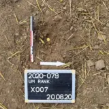 В Люксембурге найдена 141 римская золотая монета