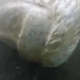 Древняя статуя из мрамора найдена на дне итальянского озера