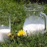 Молоко – виявлено протиракові властивості продукту