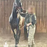 Комбриг бригади ТРО вирішив озолотити свою дружину під час війни