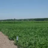 У НААН знайшли порушень на мільярд гривень