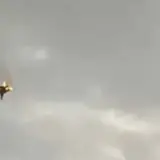 ВСУ 8 февраля уничтожили российский Су-25 на торецком направлении