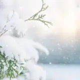Погода в Україні на вихідні – 15 та 16 лютого Укргідрометцентр снігопади та морози