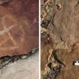 Наскальные рисунки, возрастом более 9000 лет найдены в Бразилии