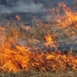 Пожежа на Львівщині – у селі Підбірці зафіксували велику пожежу сухої трави