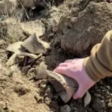 Давньогрецькі артефакти знайдені на півдні України – фото