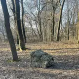 Парк у занедбаному стані, а керівництву байдуже? Зустріч з директором Київзеленбуду Шевченківського району не додала оптимізму