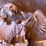 Сахара – какие люди населяли ее 7000 лет назад