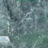 Розстріл українських полонених – окупанти розстріляли беззбройного полоненого військовослужбовця ЗСУ у Волноваському районі
