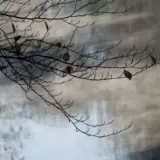 У Києві оголошено перший рівень небезпеки