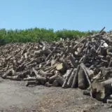 Закупівлі для ЗСУ – чиновники заробили мільйони на дровах для ЗСУ