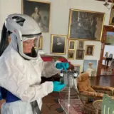 У датских музеев неожиданно появился новый враг – суперустойчивая плесень
