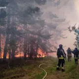 Пожежа в Харківській області – в області вирує масштабна пожежа