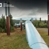 Директор госпредприятия не уплатил почти сто миллионов налогов