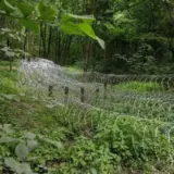 Бои в Сумской области – ВСУ остановили продвижение оккупантов на Сумщине
