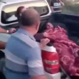 В Анталье ведут поиски льва, который напал на мужчину возле парка Lion Land