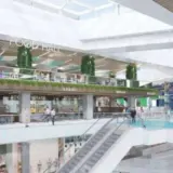 Продуктовий якір столичного ТРЦ Ocean Mall супермаркет “Сільпо” готується до відкриття