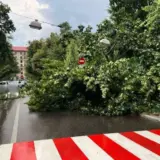 Названо київські вулиці, де рух ускладнений через падіння дерев