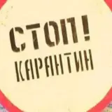 У Київській області під карантин у зв’язку зі сказом потрапили понад 50 міст та сіл