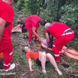 В Одесской области дерево убило ребенка