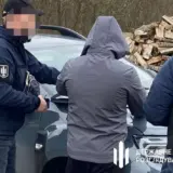 ДБР завершило одне з найгучніших розслідувань у сфері лісового господарства на Волині