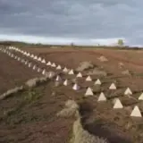 На Харківщині державі повернули землі оборони
