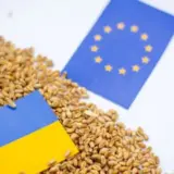 Венгрия и Словакия хотят защититься от украинского импорта