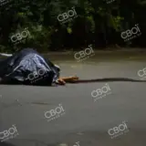 Вбивство Понирко у Кривому Розі