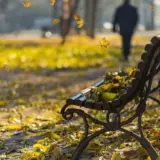 Потепління в Україні варто чекати після 20 жовтня – синоптик Постригань