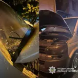 Поджигательницу задержали в Одессе
