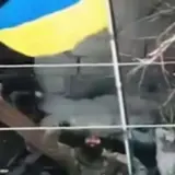Украинские десантники освободили Кучеров Яр