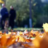 Погода в Україні 26 жовтня – Укргідрометцентр прогнозує дощі на півдні країни у неділю