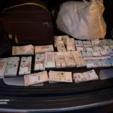 Масштабную схему незаконной вырубки леса выявили в шести областях Украины
