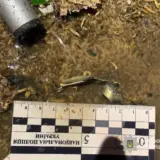 Вибух у Кривому Розі – стався вибух у житловому будинку