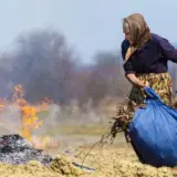 Названы суммы штрафов в Украине за сжигание опавших листьев