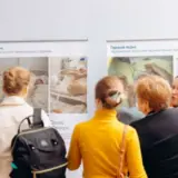 Перша в Україні виставка про передчасно народжених дітей: відкриття у Києві