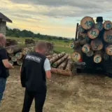 На Львовщине разоблачена масштабная схема вырубки леса на 9 миллионов