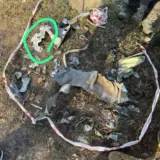 Обстріл Тернополя – удар окупанти завдали ракетами Х-101