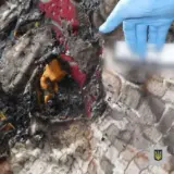 На Київщині мати живцем спалила свого сина