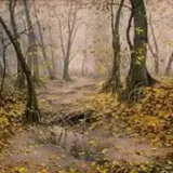 Прогноз погоди в Україні на сьогодні