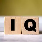 Опубликованы результаты глобального рейтинга IQ за 2025 год