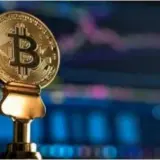 Анализ влияния молодых криптоинвесторов на рынок валют – обзор от Fixygen