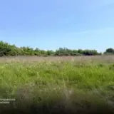 Чиновники створили схему незаконної приватизації землі на Волині