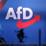 Немецкая AfD занимается шпионажем в пользу Кремля