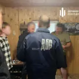 На Львівщині незаконно вирубали лісу на 15 мільйонів