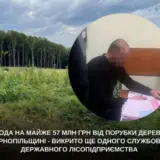 На Тернопіллі вирубали дерев на 60 мільйонів
