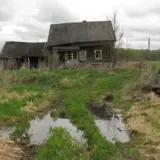 РФ стремительно вымирает