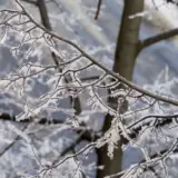 Погода в Україні 11 січня – Укргідрометцентр прогнозує морози по всій Україні